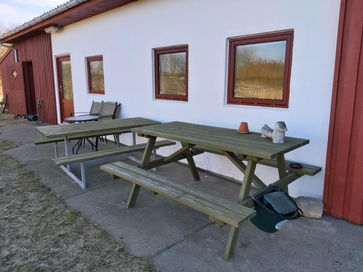 Klitgaarden Aparthotel Hjørring Kültér fotó